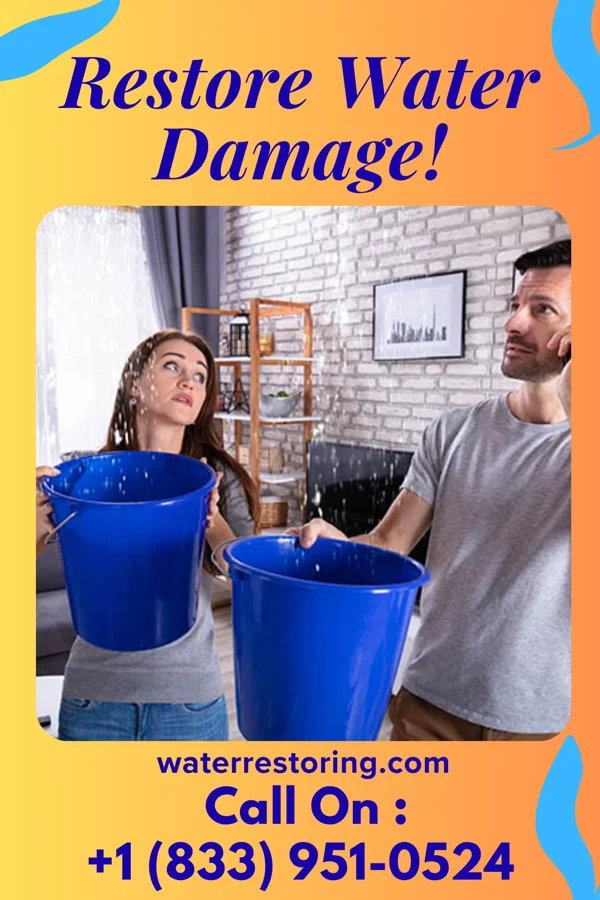 water restoration Eagle Sewage Cleanup & Associates Ripley