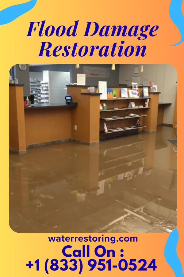 Flood Damage Restoration in Ripley, OH