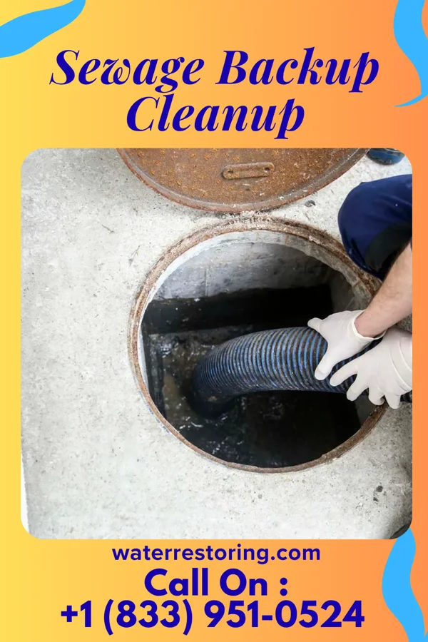Sewage Backup Cleanup in Ripley, OH