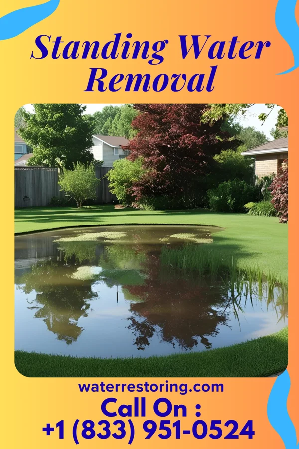 Standing Water Removal in Ripley, OH